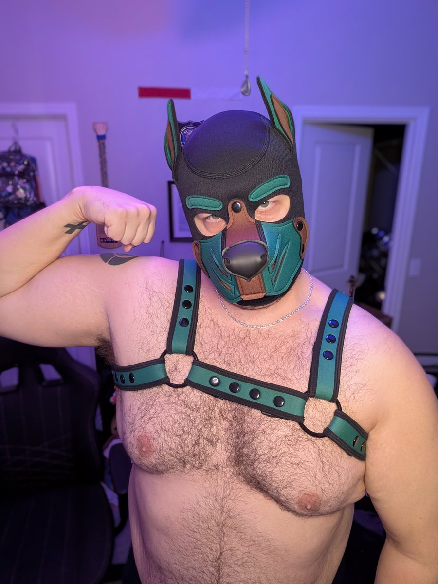PupRuss (@pup_russ) on Twitter photo Sorry for the kinda unceremonious reveal but HEY i finally got my custom hood in! From <a href="/MrSLeather/">Mr-S-Leather</a> its feels great! Sorry for the kinda unceremonious reveal but HEY i finally got my custom hood in! From <a href="/MrSLeather/">Mr-S-Leather</a> its feels great!