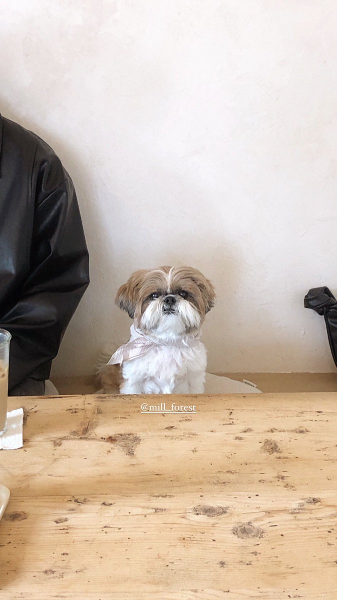 + 로프 / 그린어스 / 헵 / 밀숲과자점
강아지 갈 수 있어요