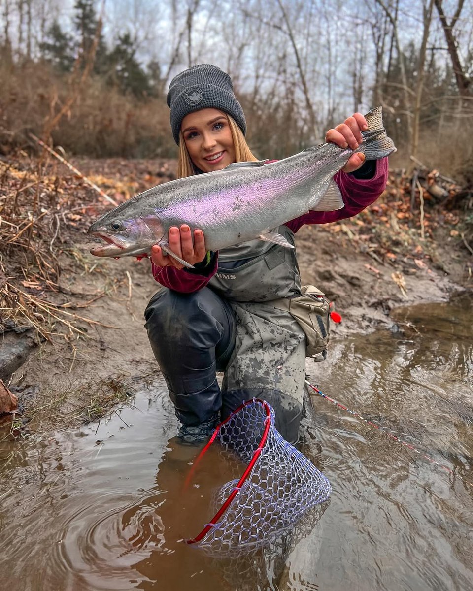 86Ali3's tweet photo. Name the fish! https://t.co/9FjWj3UR8Q
