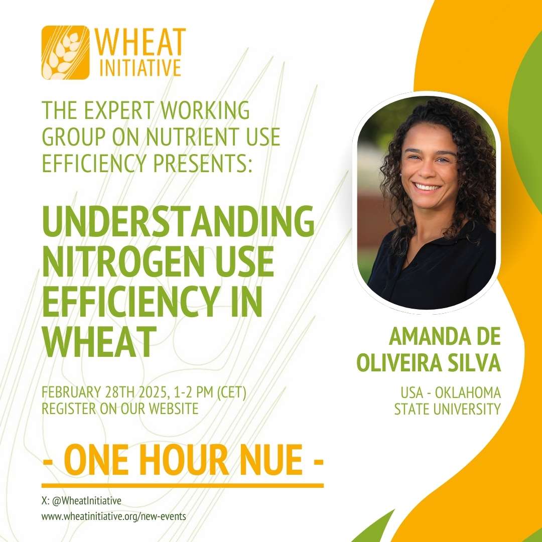 Please register for and join our up-coming session of the Wheat Initiative Expert Working Group on Nutrient Use Efficiency (NUE)! 
Amanda De Oliveira Silva will give a talk about 'Understanding Nitrogen Use Efficiency in Wheat'
wheatinitiative.org/new-events/-on…