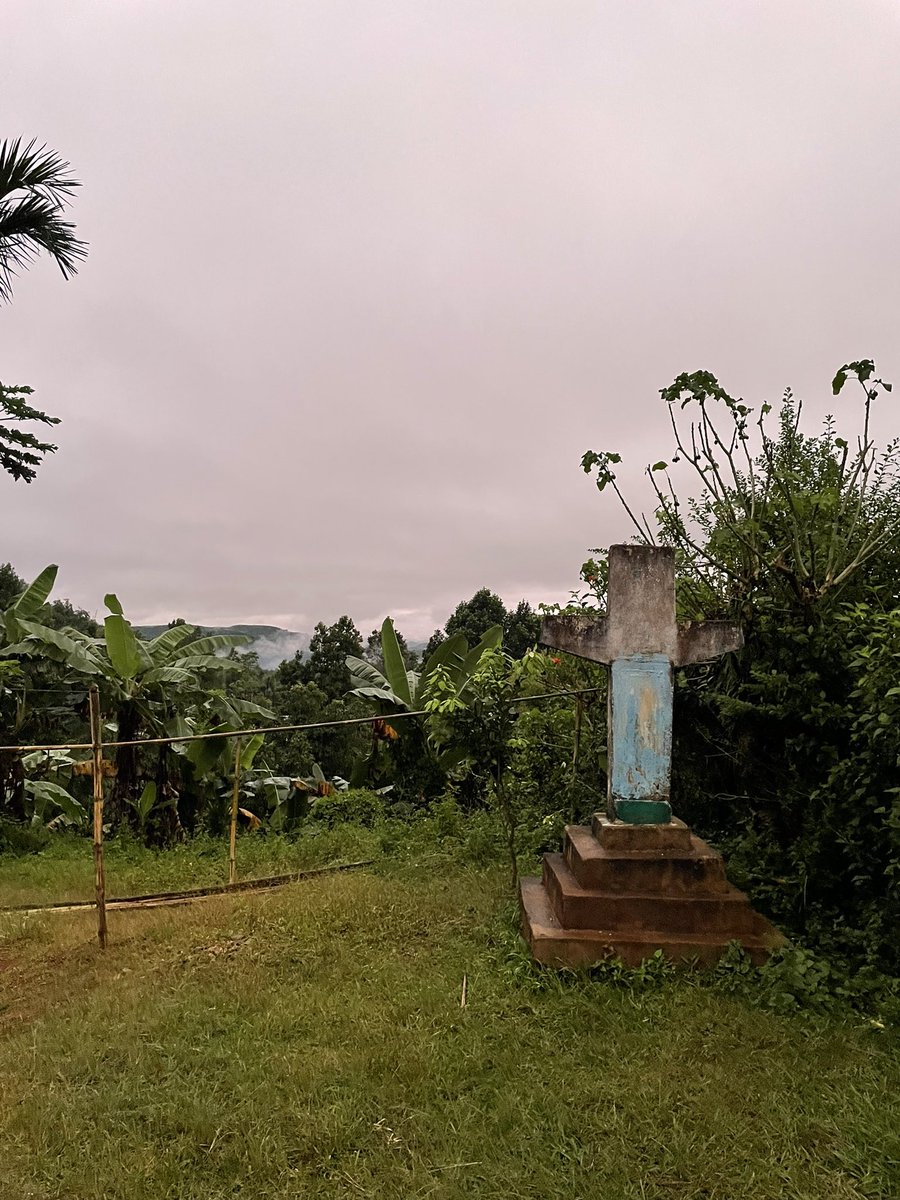 ishanees's tweet photo. Never put off visiting a jungle. Who knows by the next time you make it there, it might have turned into a metro shed, a port or an oil field. Never miss seeing #hoolockgibbons, because next time you  get a chance to swing by, they may have turned into humans. #assam https://t.co/ep6D6vFNSk