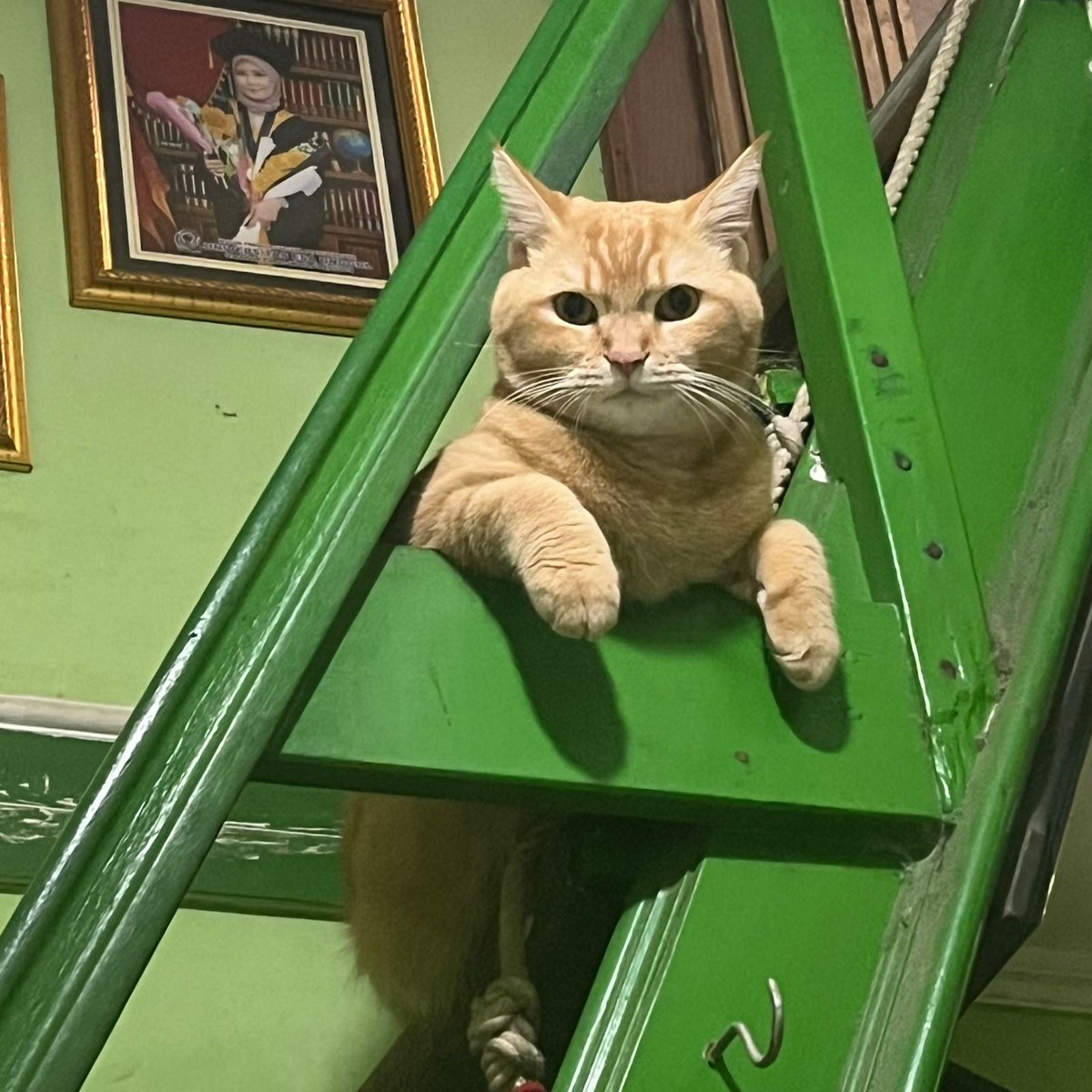 Pluviophile tweet media