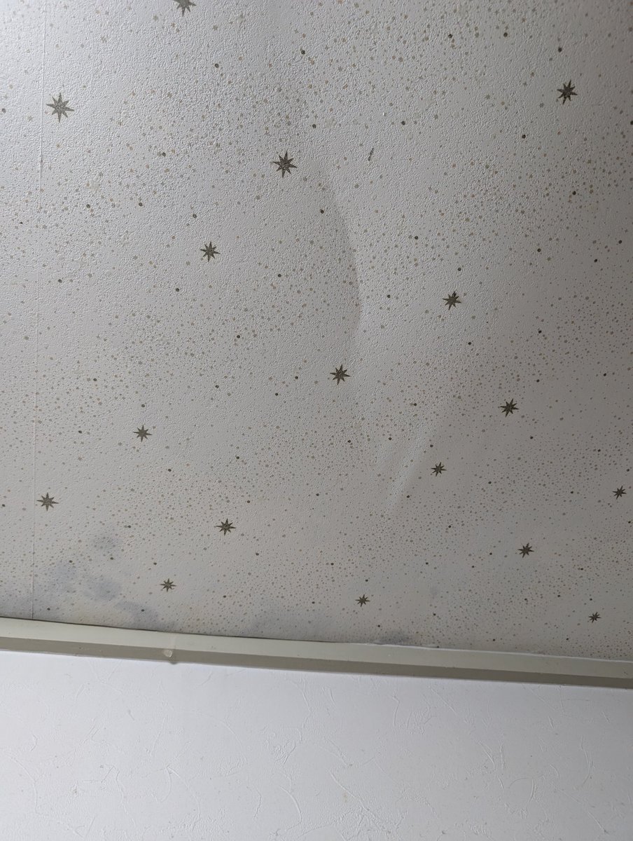 諦めてたラルクのチケット
手に入りそうで昨晩からソワソワ

かと思ったら地震来て
心臓バクバク……

チケットの連絡来て
*: \(  ॑꒳ ॑ * \ 三 ﾉ *  ॑꒳ ॑ )ﾉ :*

地震の影響で洗面所の天井
水漏れし出したみたいで
ヾ(･ω･`;)ﾉヽ(;´･ω･)ﾉﾞ

 #ラルク  #水漏れ  #地震