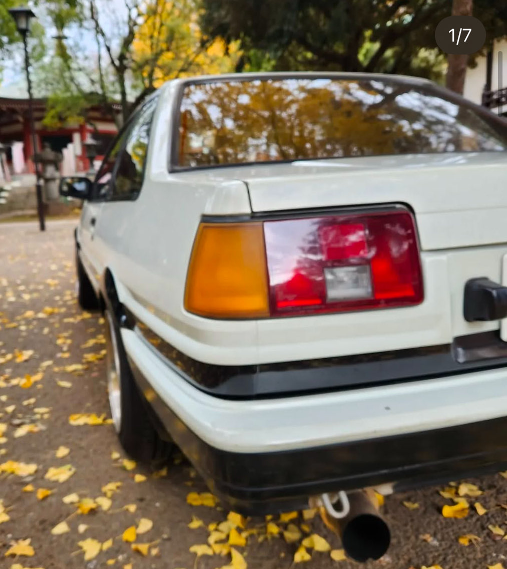 個性的なバック