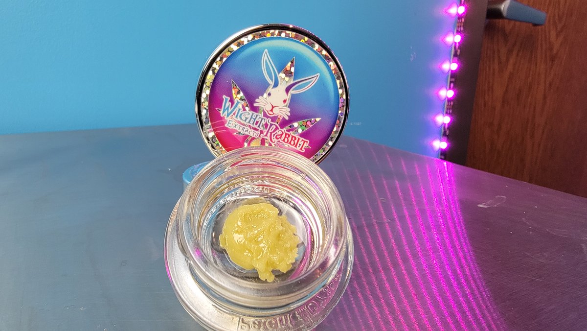 Wight Rabbit Extracts tweet media