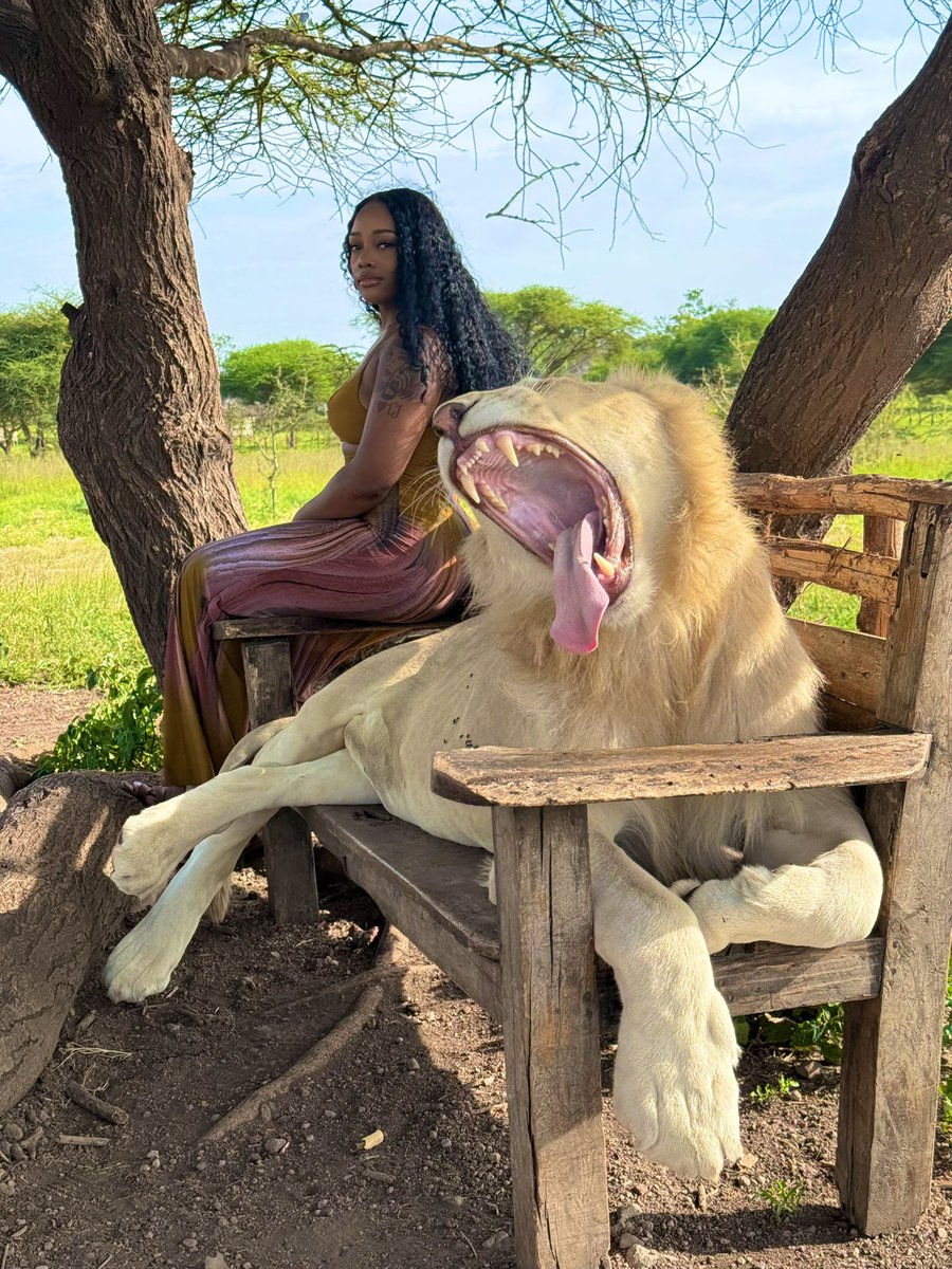 prettytaylor002's tweet photo. Africa is a beautiful place 😩❤️ https://t.co/dR1MMmYytT