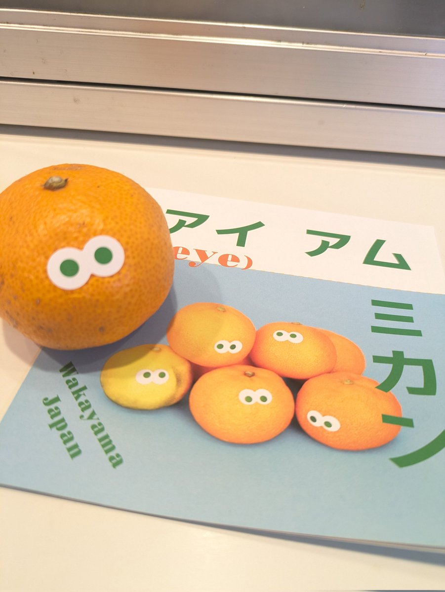 3buttons1704's tweet photo. 母から届いたミカンたちが箱で窮屈そうにしてたので別の箱に並べ替えたら、ちょっと嬉しそう😊 https://t.co/GAhIMk3Hof