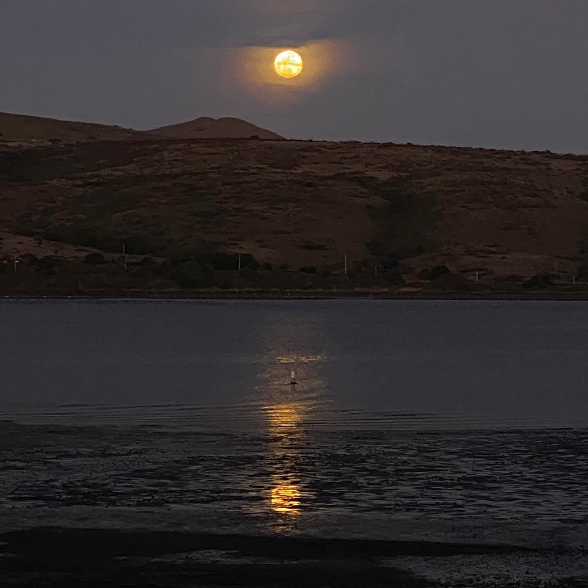 WestMarinFeed's tweet photo. Gorgeous sunset colors in Point Reyes tonight just as the first full moon of 2025 (The Wolf Moon) came up over Tomales Bay in Inverness. https://t.co/XNCuQiswRz