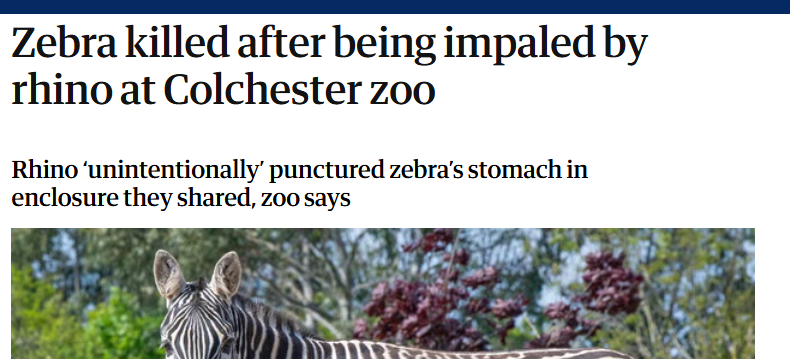 Roses are red
Cornflowers are blue