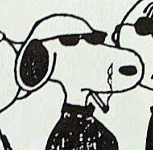 World0fEcho's tweet image. This is the coolest anyone has ever looked