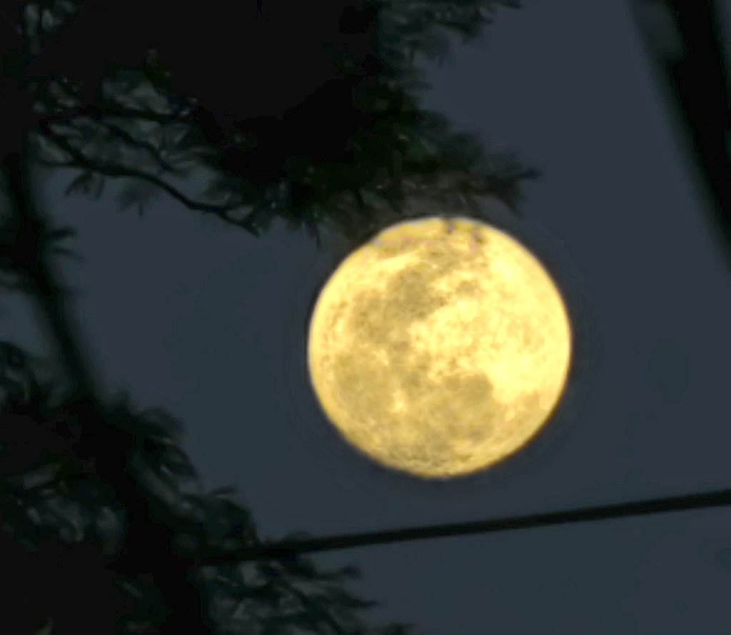DanielkaRuiz25's tweet photo. La primera #LunaLlena del 2025 la #LunaDeLobo, como se le conoce en las culturas indígenas de América del Norte, recibe su nombre debido a los aullidos de los lobos que se escuchaban durante las frías noches de #Enero2025. 
Simboliza la culminación de ciclos y nuevos comienzos. https://t.co/XP6IKcrqcu