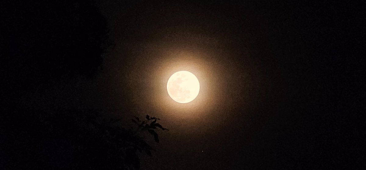 DanielkaRuiz25's tweet photo. La primera #LunaLlena del 2025 la #LunaDeLobo, como se le conoce en las culturas indígenas de América del Norte, recibe su nombre debido a los aullidos de los lobos que se escuchaban durante las frías noches de #Enero2025. 
Simboliza la culminación de ciclos y nuevos comienzos. https://t.co/XP6IKcrqcu