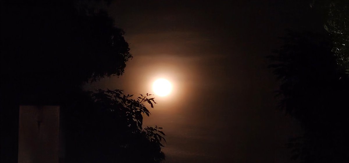 DanielkaRuiz25's tweet photo. La primera #LunaLlena del 2025 la #LunaDeLobo, como se le conoce en las culturas indígenas de América del Norte, recibe su nombre debido a los aullidos de los lobos que se escuchaban durante las frías noches de #Enero2025. 
Simboliza la culminación de ciclos y nuevos comienzos. https://t.co/XP6IKcrqcu