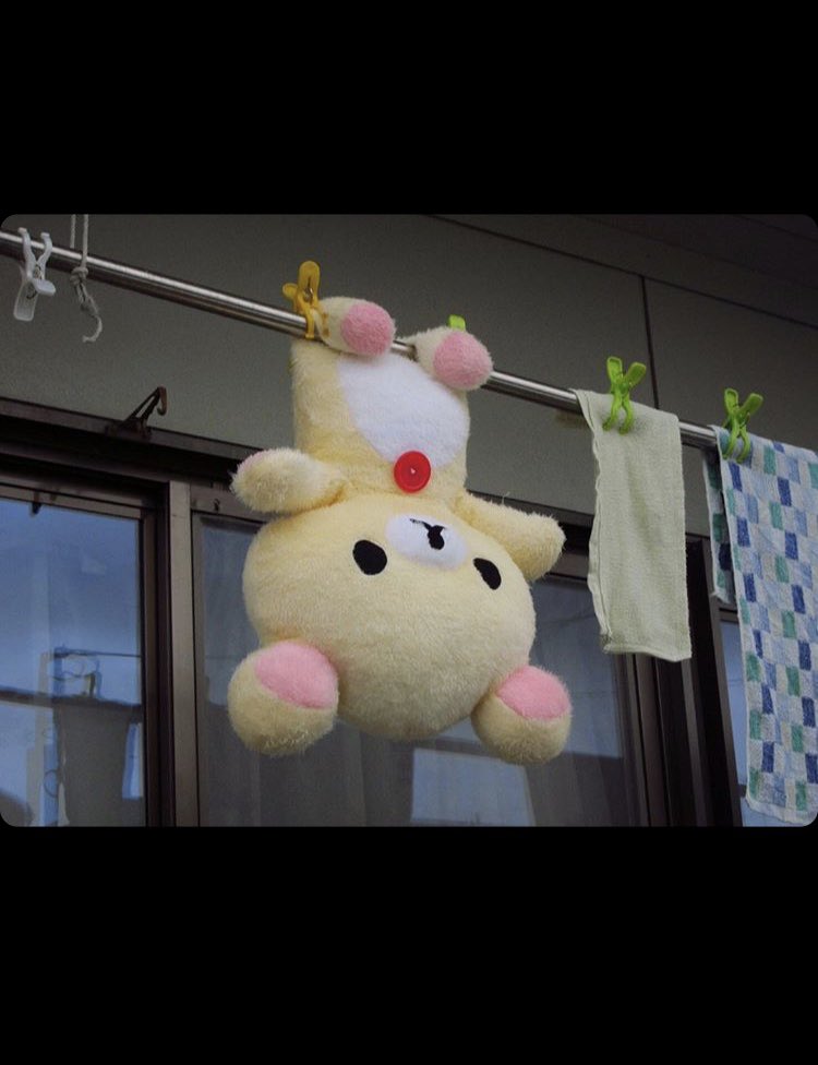 捨てても戻ってくるクマのぬいぐるみ(体験談)2/3 