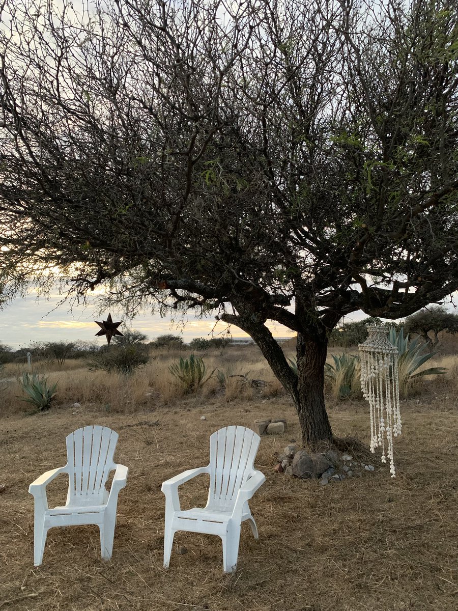 Hace 8 años, un viernes 13 de enero, <a href="/ManelMarquesTo1/">Manel Marques Torres</a> dejó este plano. Honro su vida, sus enseñanzas culinarias, su gran sazón, su sabiduría en los fogones, su cálido abrazo y nuestro encuentro. Como cada año, cocinamos y compartimos en familia. Lloramos, también. Hoy tocó. #DTMF