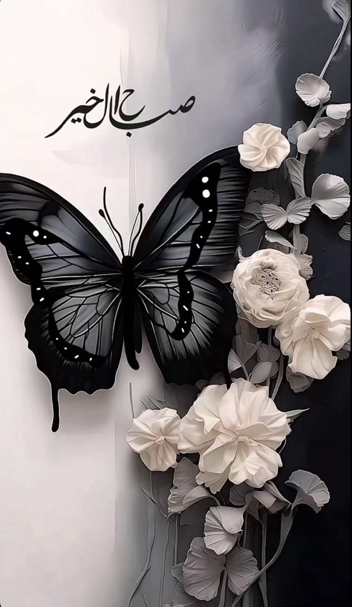 كلي شموخ❤️ tweet media