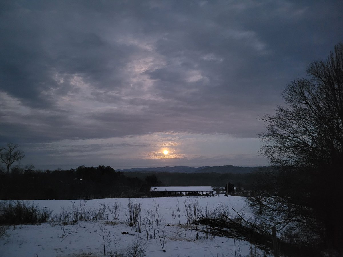 ImmaSouthpaw tweet media