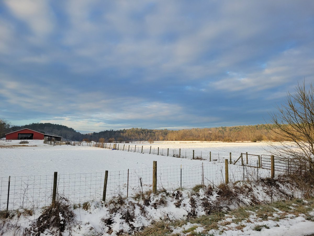 ImmaSouthpaw tweet media