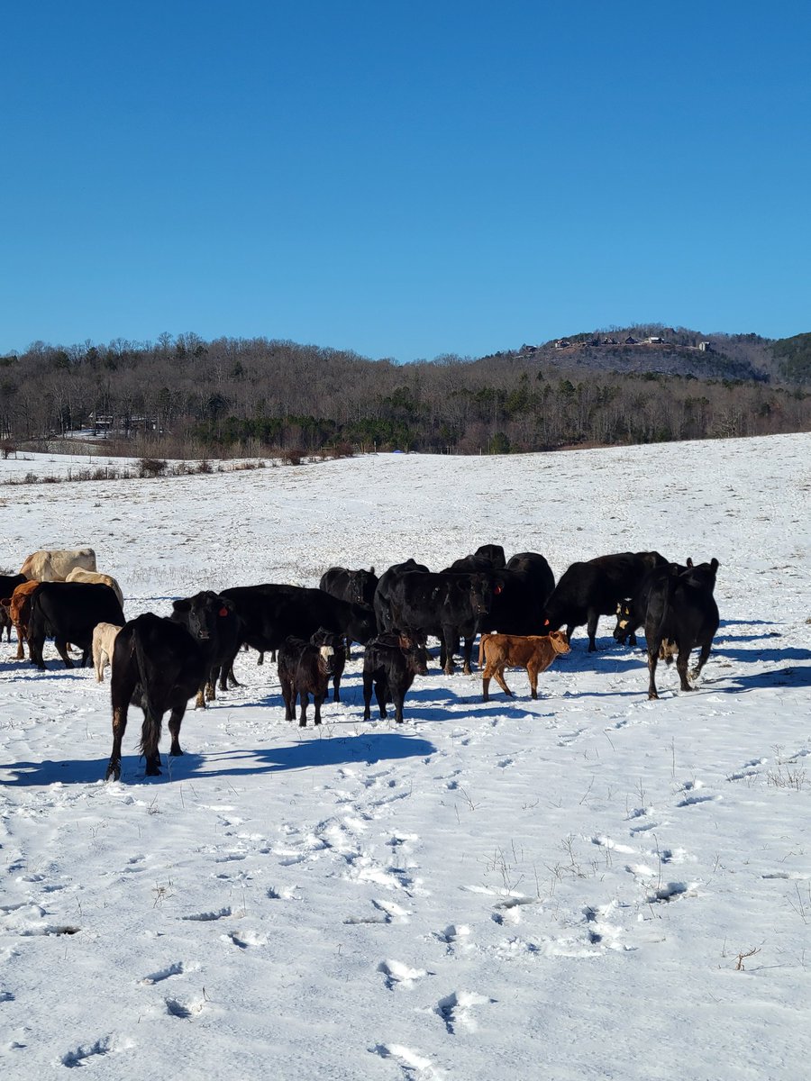 ImmaSouthpaw tweet media