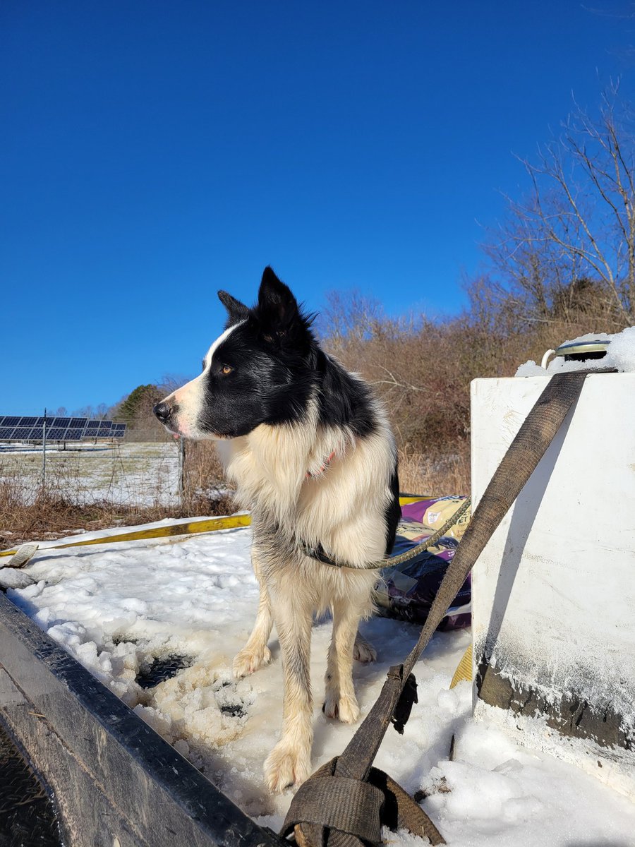 ImmaSouthpaw tweet media