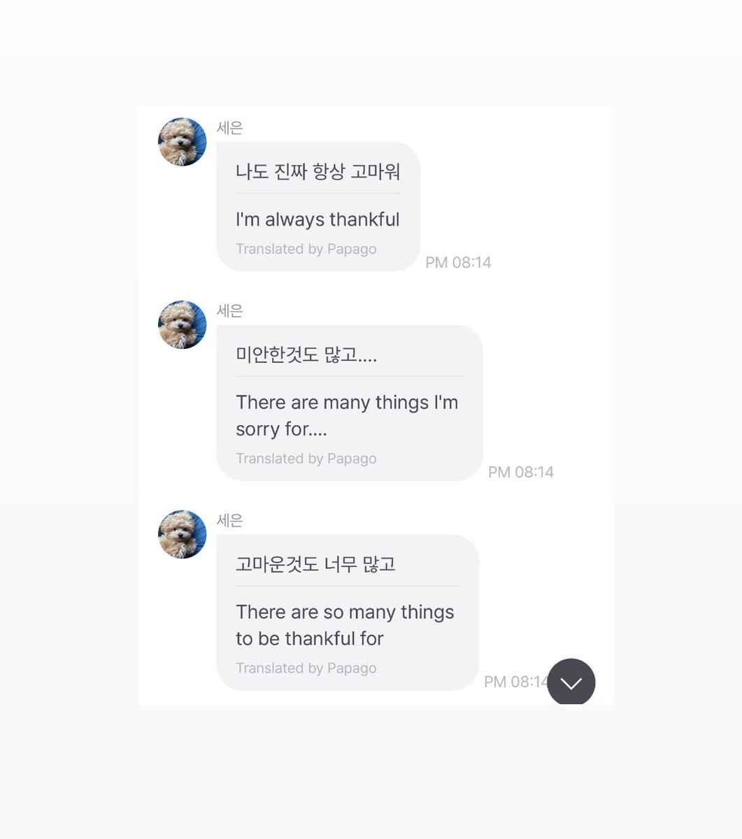 spideyseeun's tweet photo. ⋆. 𐙚 ˚ a thread: seeun’s comforting fromm messages to road𝓨 https://t.co/ViWzQLSSsx