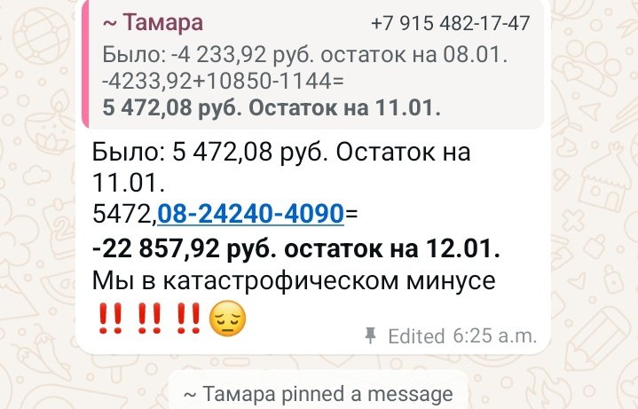 Zolotaia_Ptitsa_3rd yr of PhD arc tweet media