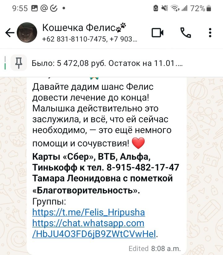 Zolotaia_Ptitsa_3rd yr of PhD arc tweet media