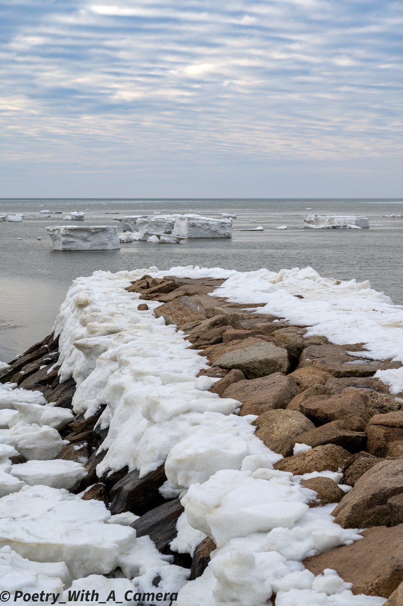 PictureCatcherB's tweet image. A few ICEBERGS (they are actually called ice floes) make an appearance in Cape Cod Bay today.
Rock Harbor, Orleans.  #capecod #rockisland #capecodbay #wcvb #WCVB5 #WHDH #NECN #OldCapeCod #7NEWS