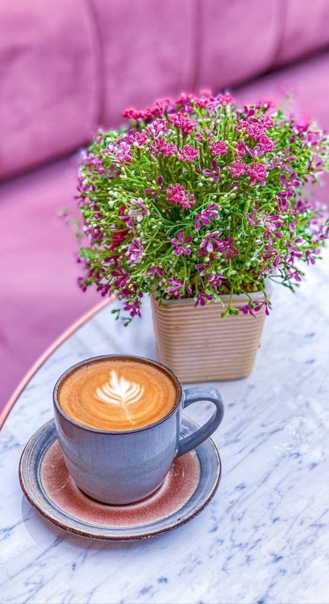 🟣 رُسُــل 🇦🇪🇮🇶 tweet media