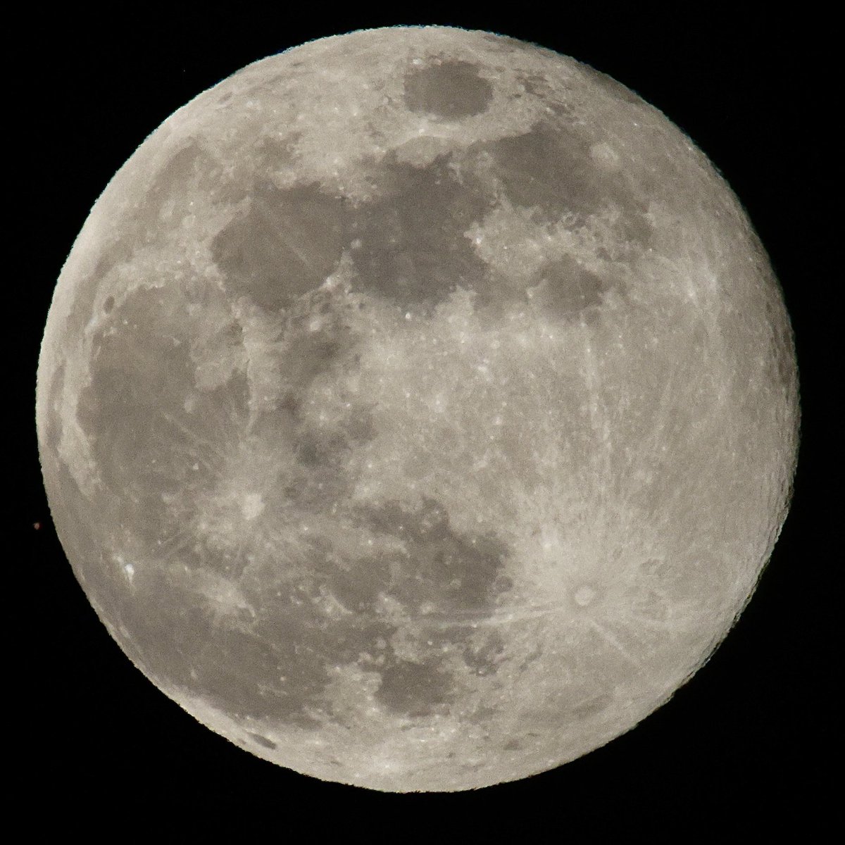 jw2008SS00's tweet photo. Lunar occultation of Mars by full wolf moon 2024 1/13/25 #WolfMoon #Mars #FullMoon https://t.co/NuXDOTD7zV