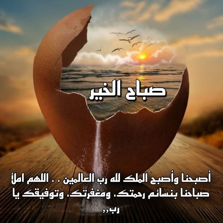 ♥️🕊الاميره قلبي🕊♥️ tweet media