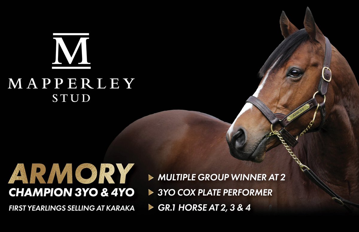 Mapperley Stud is excited to present the first crop of yearlings by our Champion son of Galileo - Armory at the <a href="/KarakaChat/">New Zealand Bloodstock</a> yearling sales

He went fast and early, 2x SW winner, 3 x Gr1 placed at 2. Trained on to be Champion 3YO and 4YO. 2nd in the Cox Plate in his only Aus start