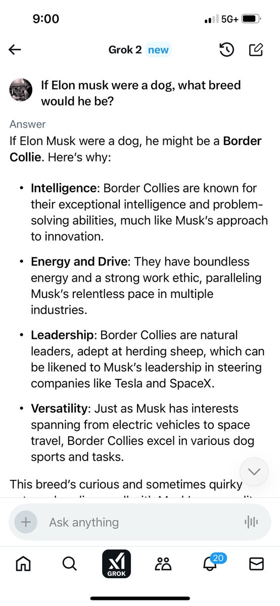 ShaunHatch's tweet photo. Lassie Musk. Always figured he’d be more corgi than collie @elonmusk https://t.co/R5pGgaItWW