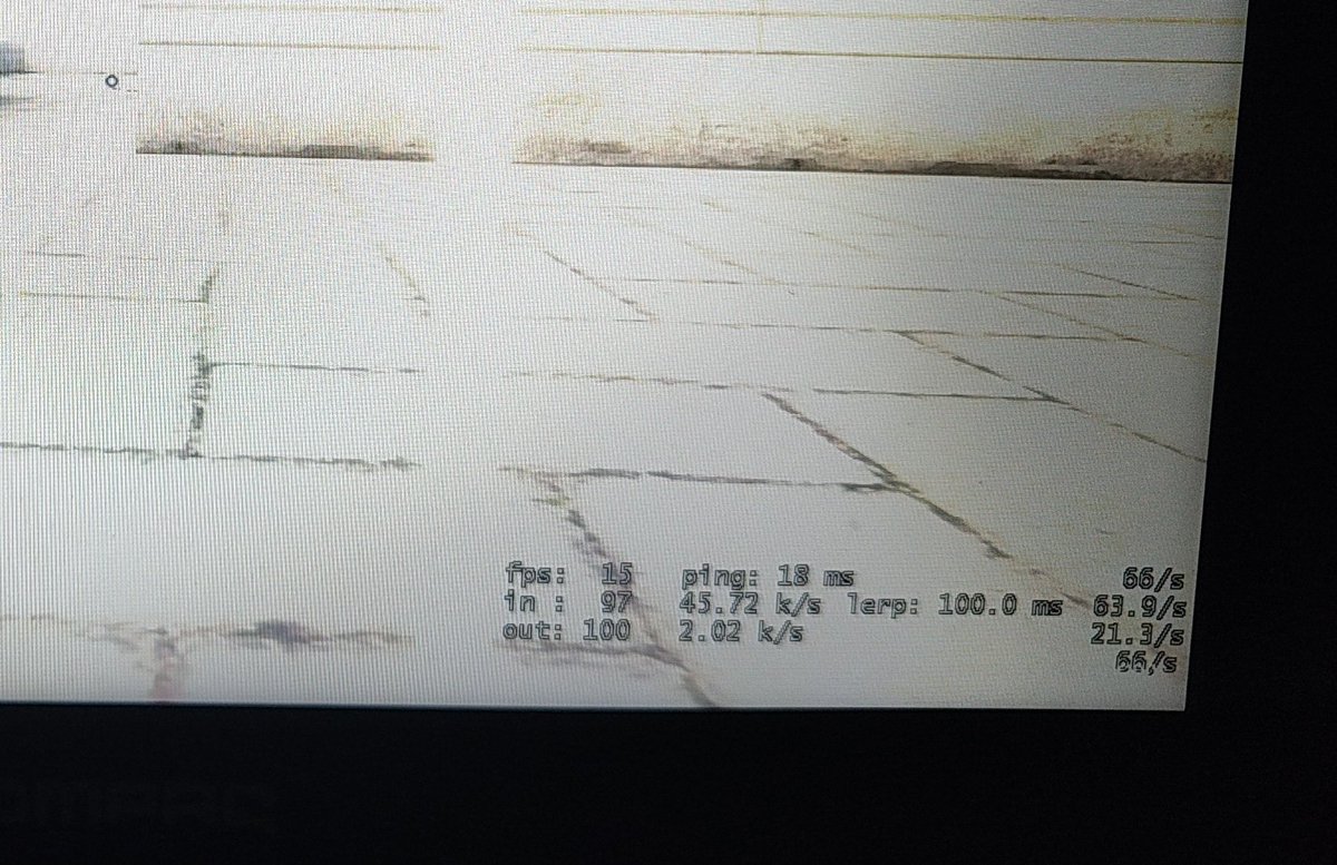 Fungus⭐⭐⭐ tweet media