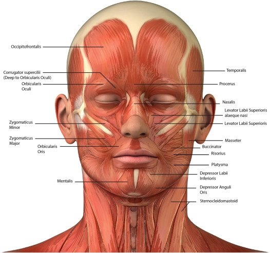 Crestren.bsky.social 🇲🇾 tweet media