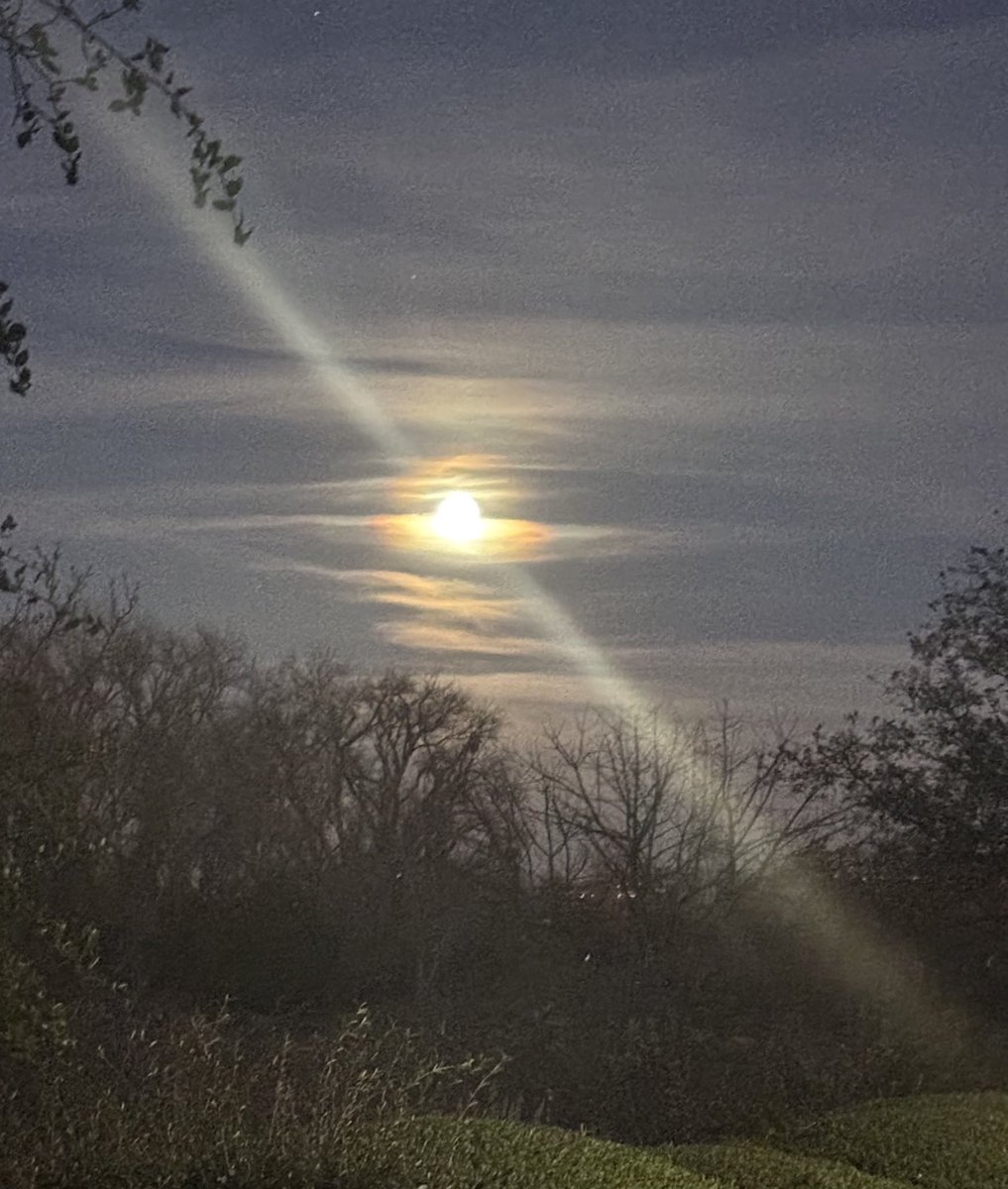 runningawry's tweet photo. Evening walk to watch the full moon rise… photos will never do her justice!🌕😍 I’m on do not disturb the rest of the night…. #FullMoonFeels https://t.co/dZnqtzOHmG