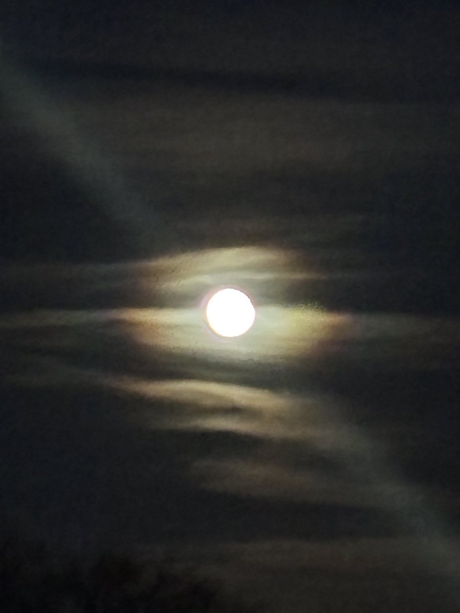 runningawry's tweet photo. Evening walk to watch the full moon rise… photos will never do her justice!🌕😍 I’m on do not disturb the rest of the night…. #FullMoonFeels https://t.co/dZnqtzOHmG