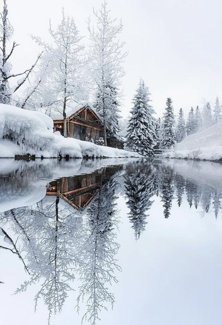 helena_mar19's tweet image. Good Morning 
Have a Beautiful Day

(Alaska,📷 Pinterest)