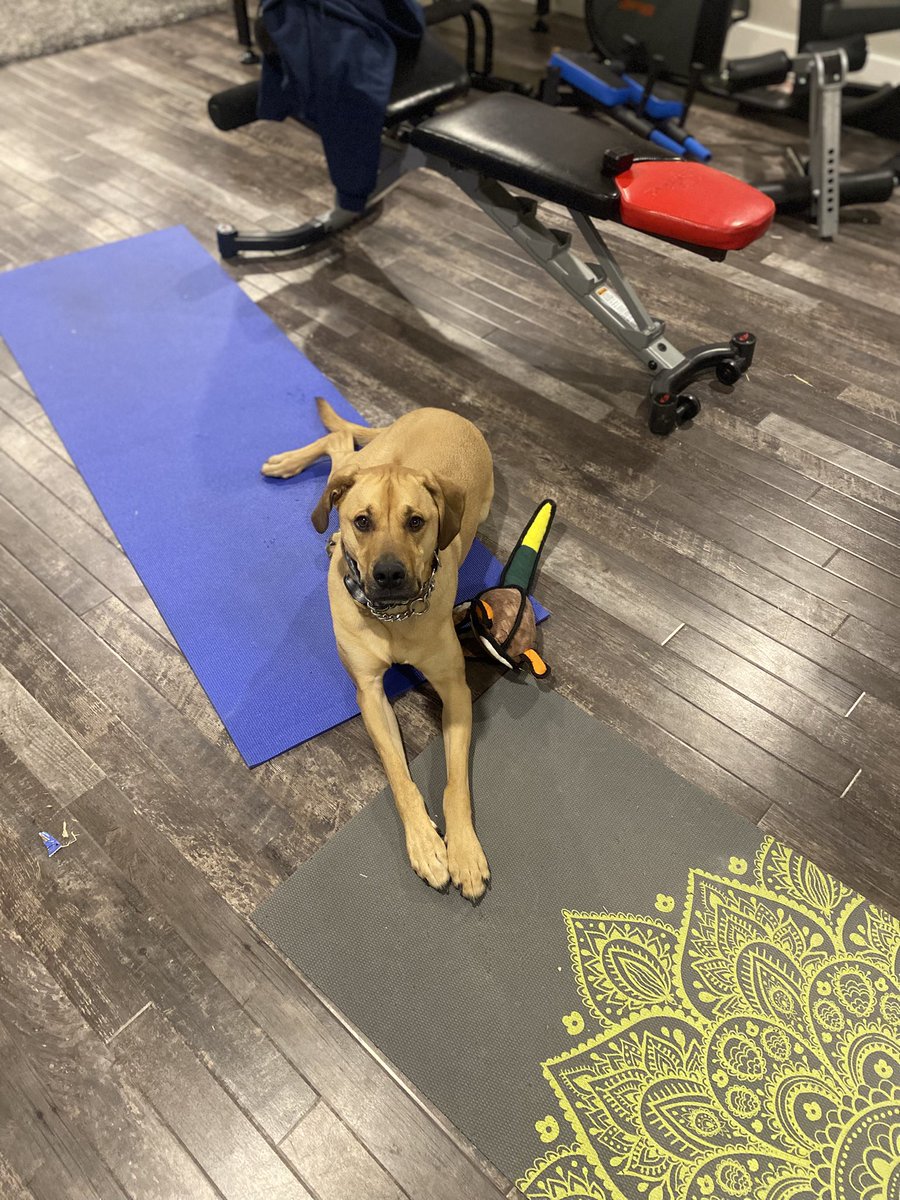 Anyone else have to put out an extra mat when they’re working out ?