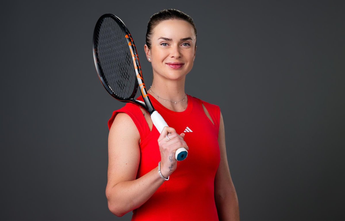 Tim Newcomb tweet media