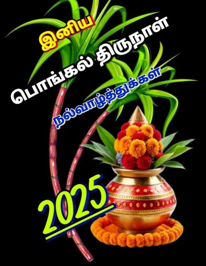 hariclassicboy's tweet photo. @Cristiano Happy pongal Ronaldo https://t.co/WPMPgl48Fj