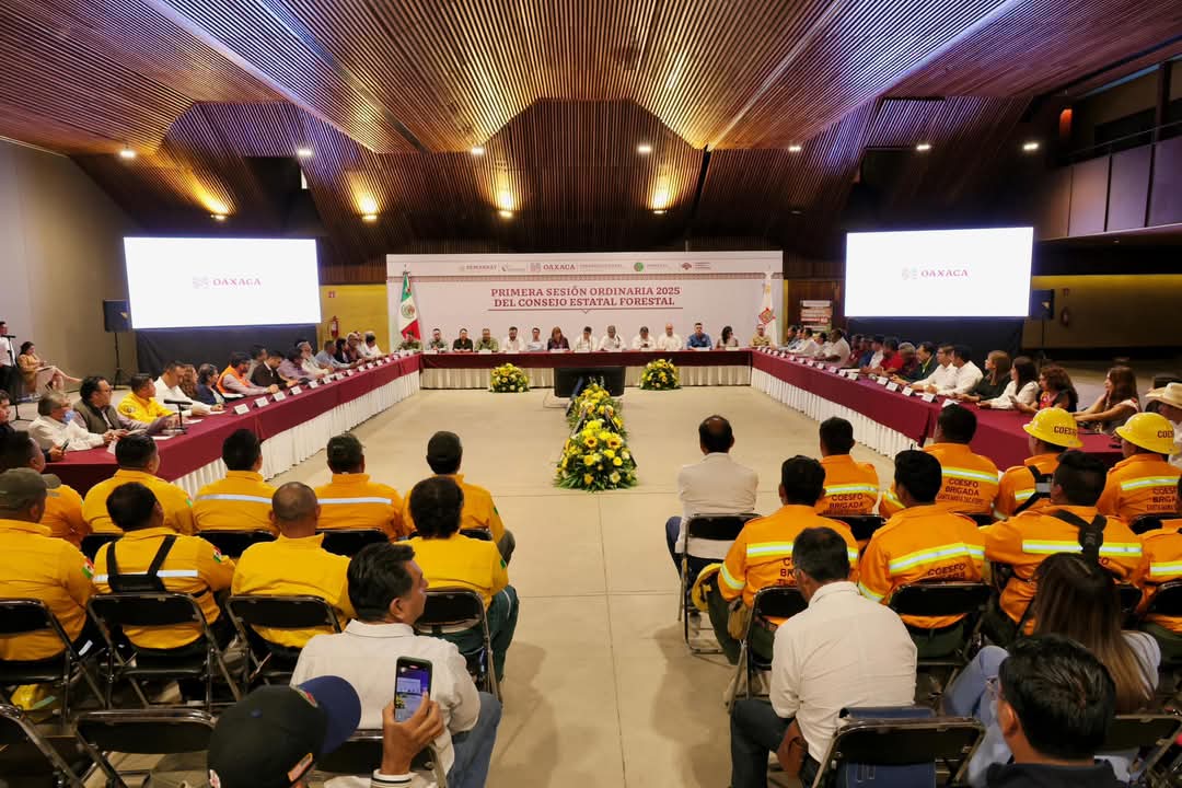 ferbustamante79's tweet photo. Asistí a la Primera Sesión Ordinaria 2025 del Consejo Estatal Forestal,  órgano que desarrolla estrategias para apoyar, preservar y fortalecer el sector forestal, instalando tambien el Comité Estatal de Prevención y Combate de Incendios Forestales.  

@salomonj 
@GobOax https://t.co/iCbWukrGbx