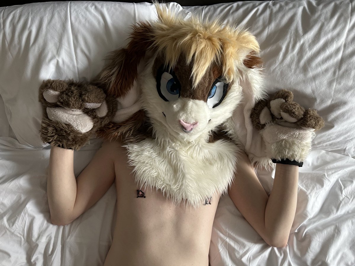 eliobunsAD's tweet photo. UwU well hello and welcome to my AD glad to have chu hear^^~ feel free to pm me https://t.co/UwrTBeUwE6
