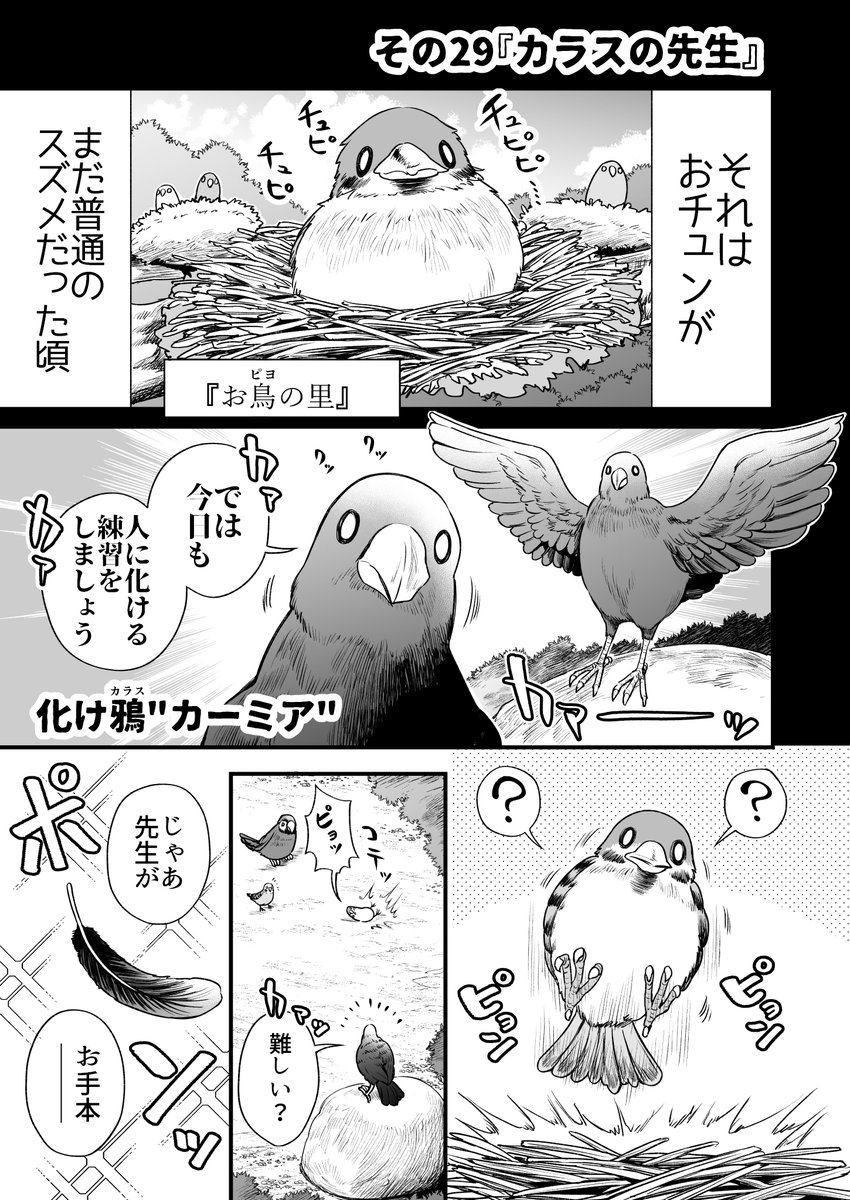 人に化ける雀の女の子とカラスの先生の漫画(1/2) 