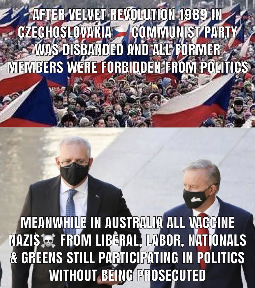 karl_stepien's tweet image. #Albanese #VaccineNazi