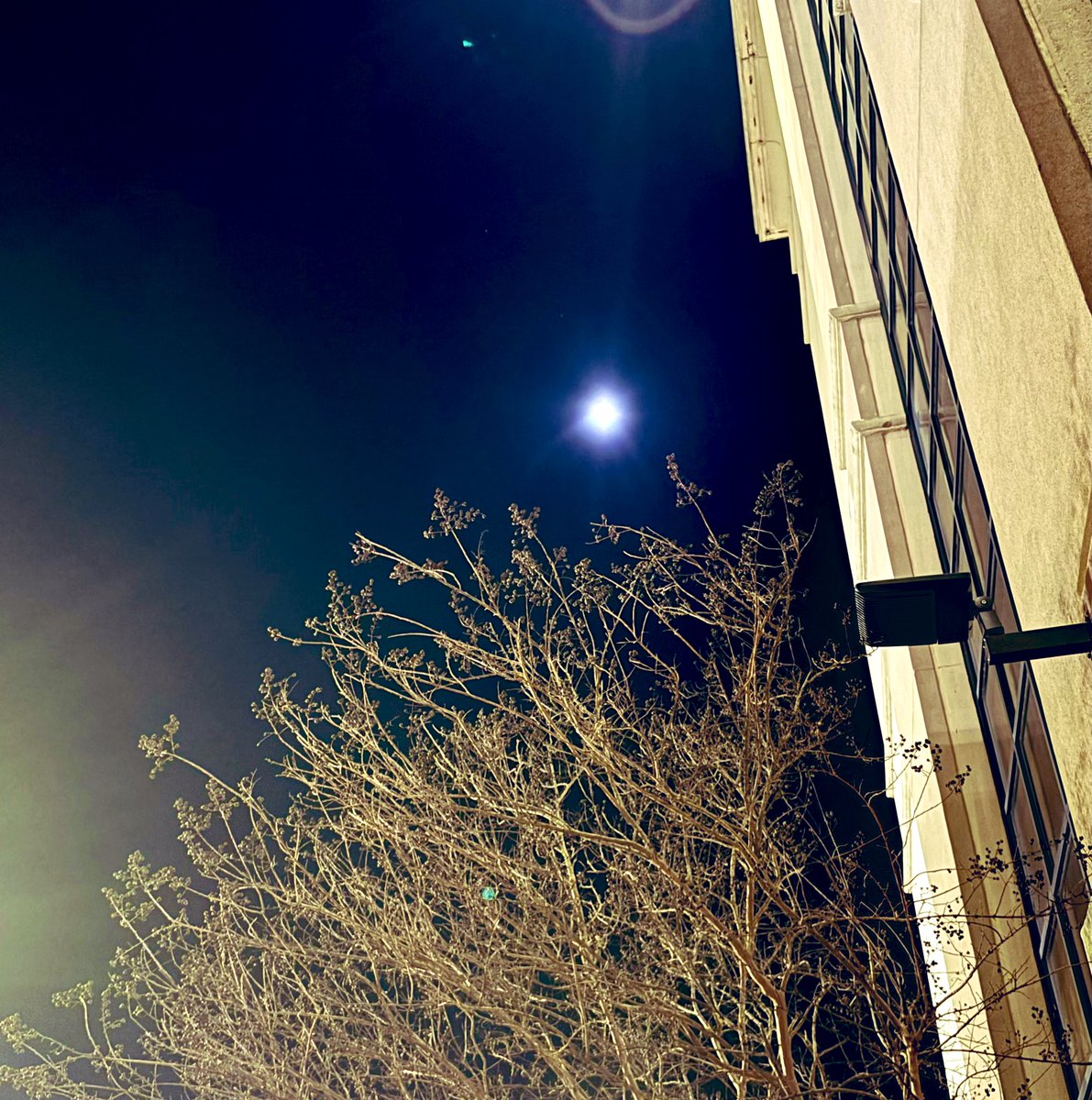 CharleyDumas's tweet photo. #FullWolfMoon from an undisclosed location in central Mississippi https://t.co/mr3EoK7lhl