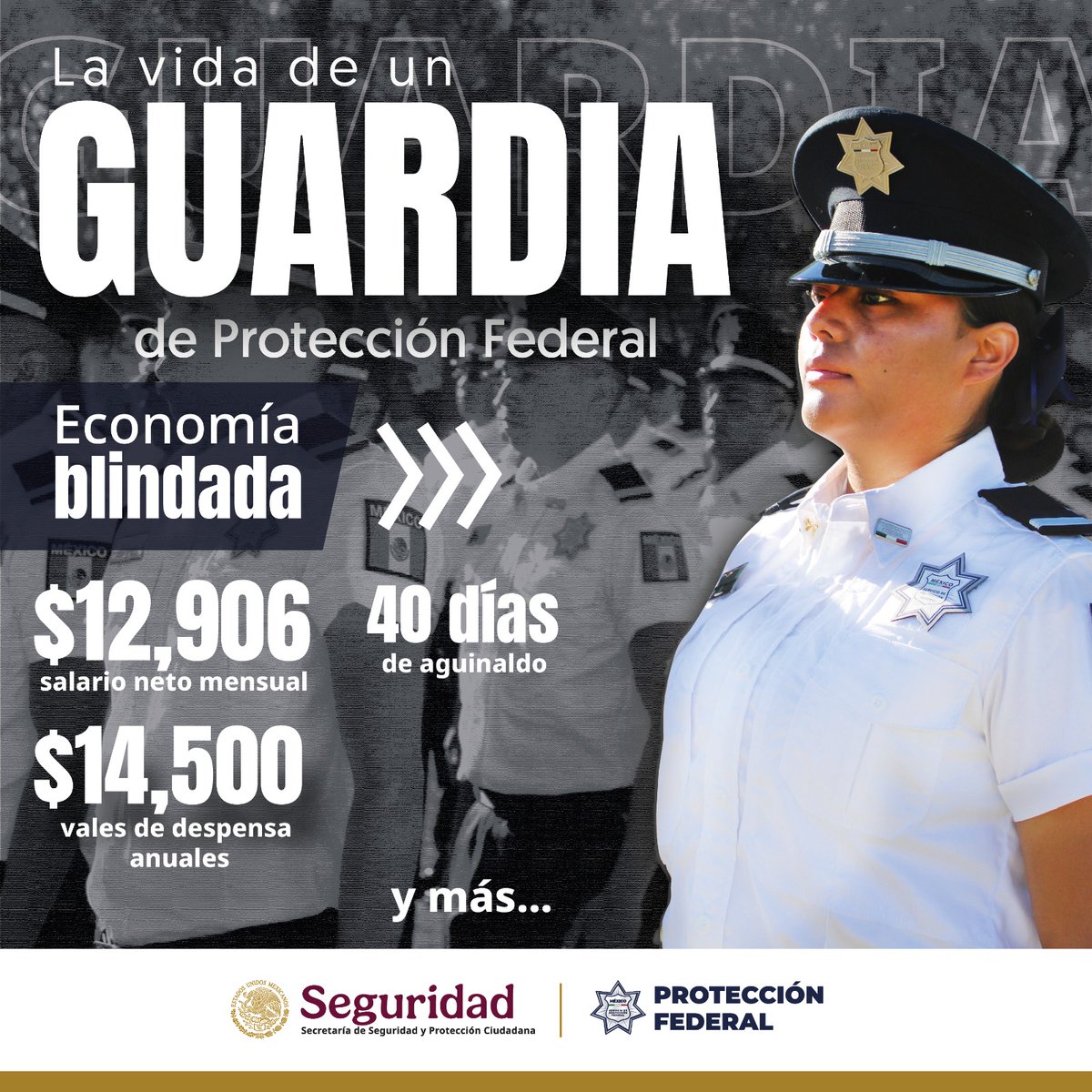 spf_sspc's tweet photo. 🚨¿Te gustaría blindar tu economía?💵
¡Crece con nosotros! Protege y custodia a personas, instalaciones y bienes de la Nación 🏢🇲🇽
Conoce los beneficios que obtendrás en este empleo.
Únete👉🏽🔗 https://t.co/TTHeCEfpfi
#LaVidaDeUnGuardia
#OrgulloSPF https://t.co/EYpOj5jx6u