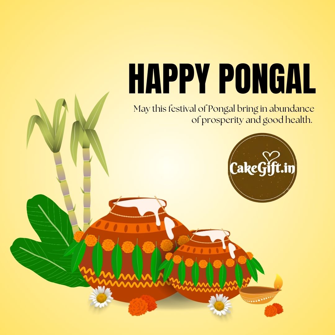 _Cakegift's tweet photo. "May this festival of Pongal bring in abundance of prosperity and good health."
Happy Pongal from https://t.co/5QUVMYxEYe
#Pongal2025 #pongal #pongalcelebration #pongalfestival #pongalspecial #happypongal #trendingpost #pongalwishes #festival #foryoupage #new #fyp #festivalvibes https://t.co/ELQRnVfIIM