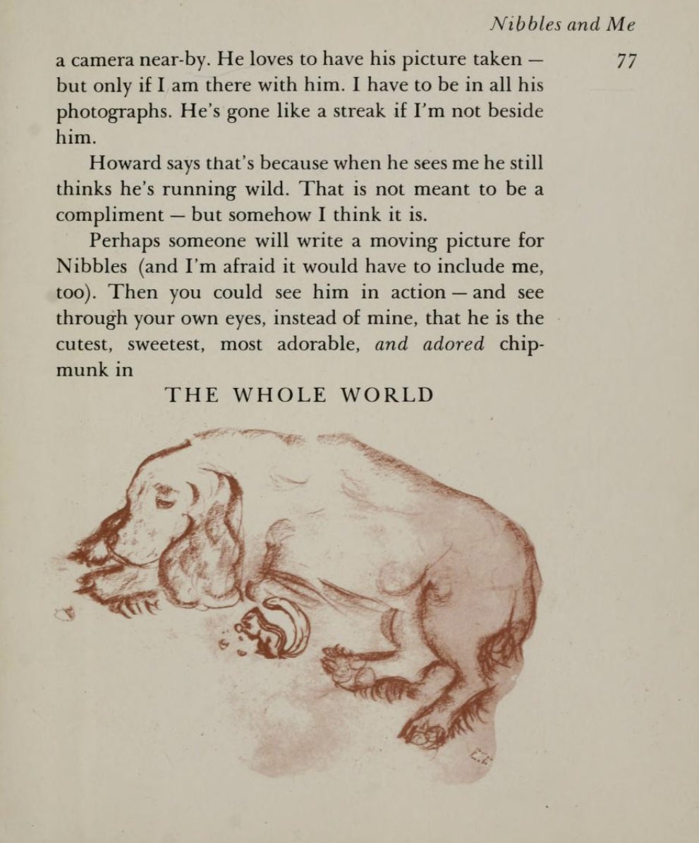 WeirdlandTales's tweet image. In 1946, a fourteen-year-old Elizabeth Taylor wrote and illustrated NIBBLES AND ME, a book about her pet chipmunk. The book must have meant something to her, as she renewed the copyright in 1974 and re-published the book in 2002, with additional drawings and an introduction.