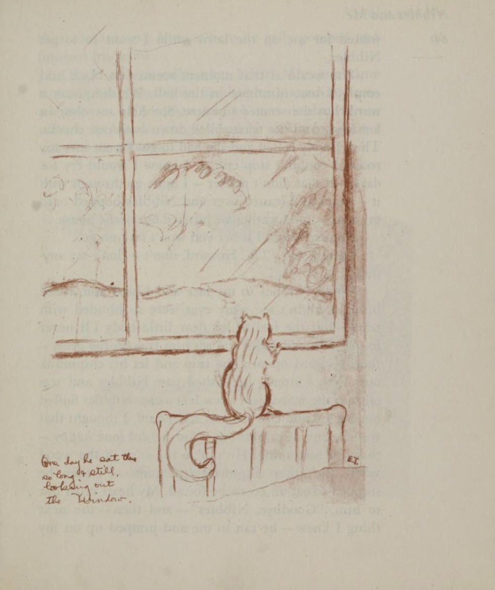 WeirdlandTales's tweet image. In 1946, a fourteen-year-old Elizabeth Taylor wrote and illustrated NIBBLES AND ME, a book about her pet chipmunk. The book must have meant something to her, as she renewed the copyright in 1974 and re-published the book in 2002, with additional drawings and an introduction.